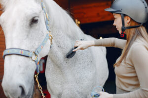 veterinary growth hormone therapy