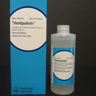 Ventipulmin Syrup 330ml