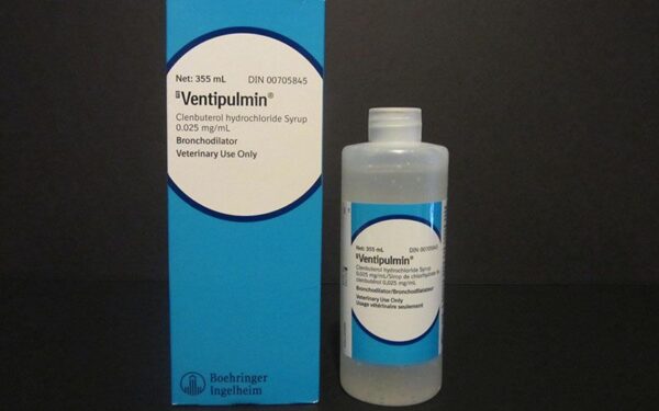 Ventipulmin Syrup 330ml