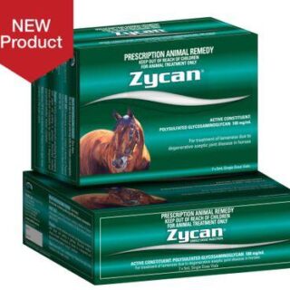 Zycan