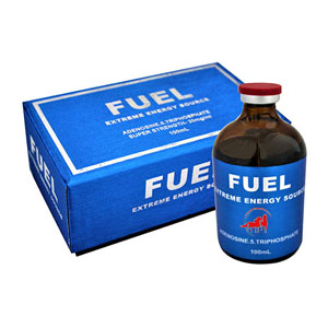 Fuel Product ATP