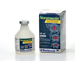 Noromectin Injection