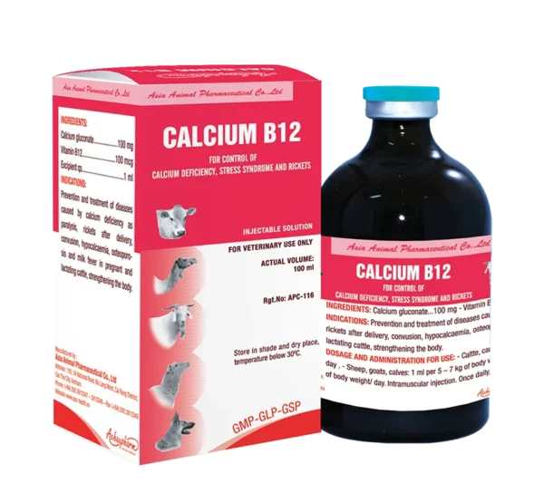 CALCIUM B12