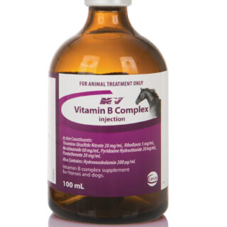 vitamin b complex for horses