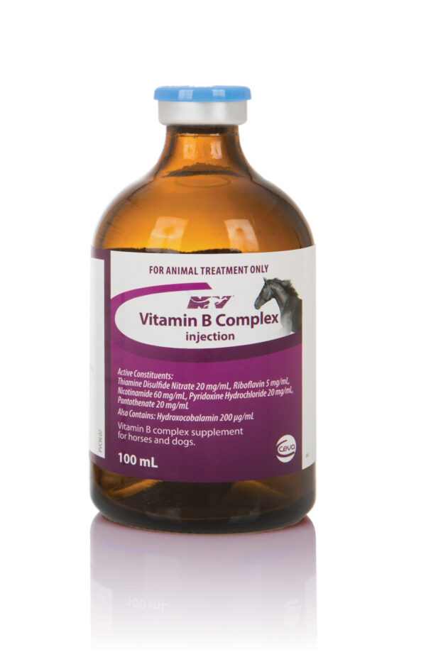 vitamin b complex for horses