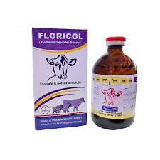 buy florfenicol injection