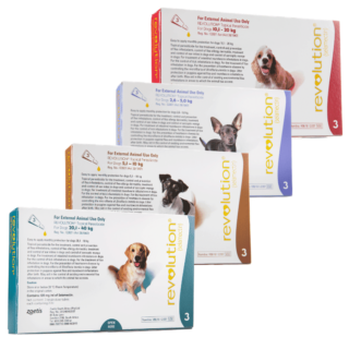 Revolution Plus for Dogs