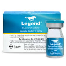 Legend Hyaluronate Sodium Injection