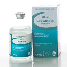 lactanase injectable