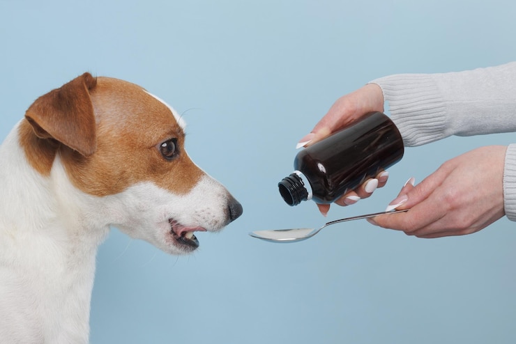 Dog showing breathing difficulty while being examined by veterinarian