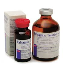 Pet owner applying bleeding treatment powder to a dog’s injured paw at home