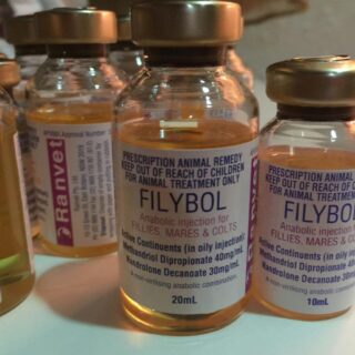 buy filybol online