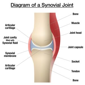  What Is Arthropen Vet 250 and How Is It Used in Horses