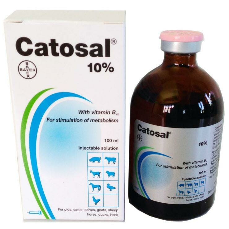 Catosal for horses