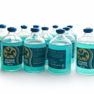 Hidro Cortyl 100ml Injection