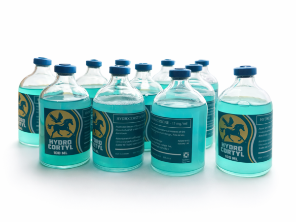 Hidro Cortyl 100ml Injection