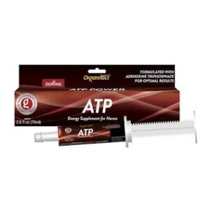 A modern oral ATP paste designed to boost energy reserves in equine athletes. Source: Organnact | Horse Supplements
